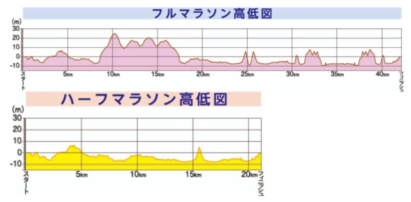 函館マラソン高低差