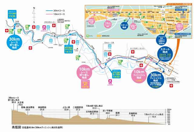 高低差とコース構造が影響